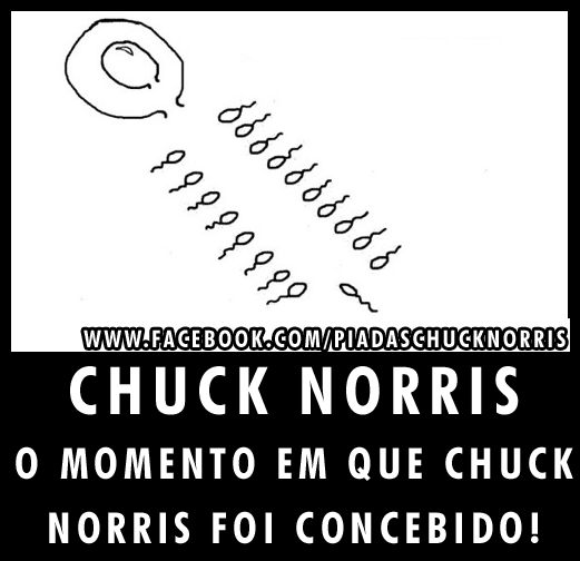 Top 15: Melhores Piadas Chuck Norris