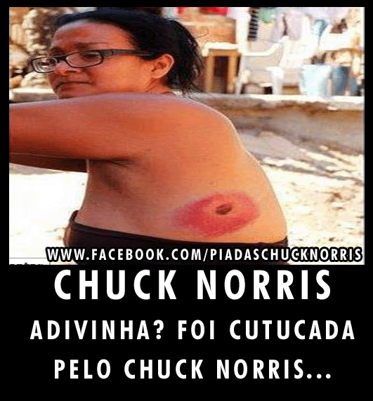 Top 15: Melhores Piadas Chuck Norris