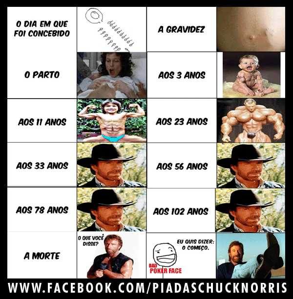 Top 15: Melhores Piadas Chuck Norris