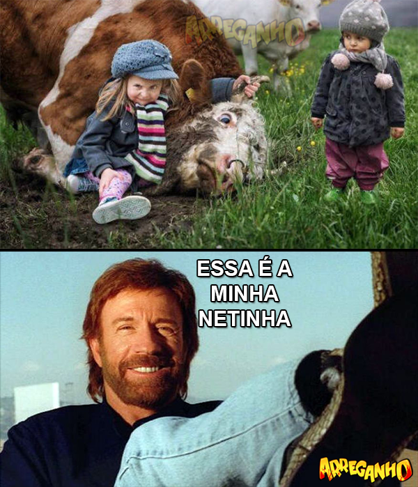 Nunca contrarie a neta do Chuck Norris