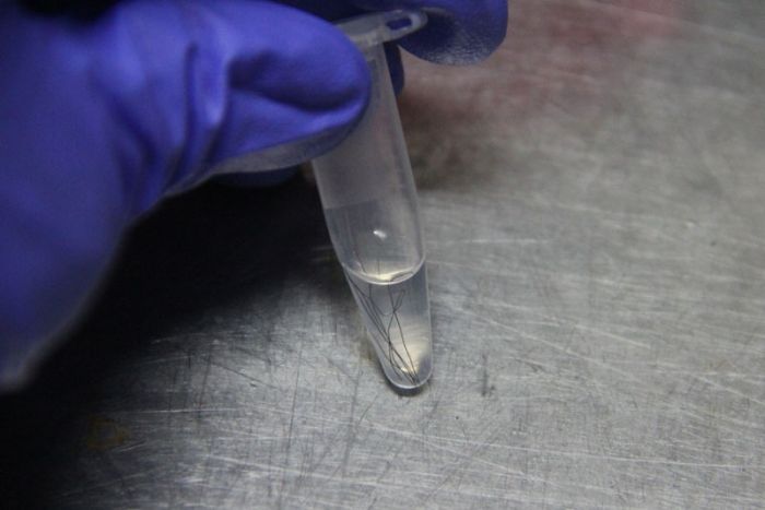 Artista criar rostos 3D de pessoas usando DNA encontrados em objetos descartados por elas nas ruas