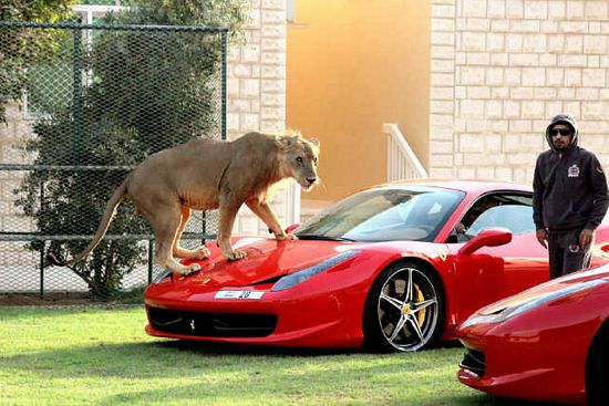 Humaid AlBuQaish, O Milionário Que Adora Carros Caros e Animais Perigosos