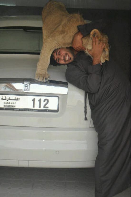 Humaid AlBuQaish, O Milionário Que Adora Carros Caros e Animais Perigosos