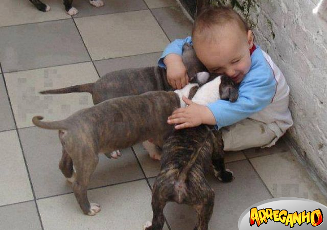 10 Fotos que provam que crianças precisam de animais de estimação