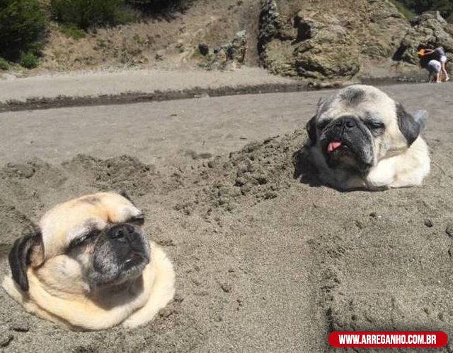 Fails of Friday