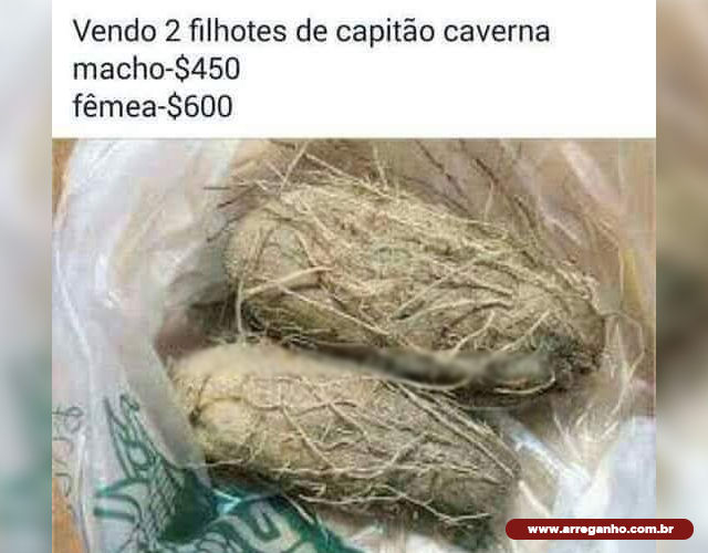 Estou vendendo