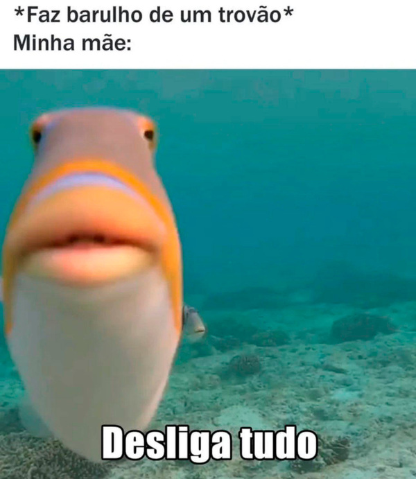 Quando começa a chover...